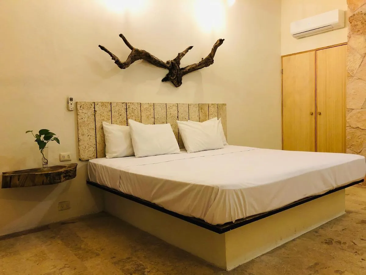 بلايا ديل كارمن Rustik Inn