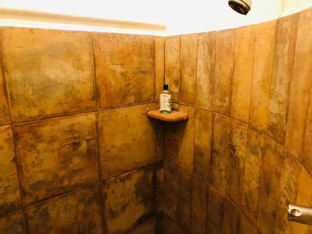 فندق بلايا ديل كارمن Rustik Inn